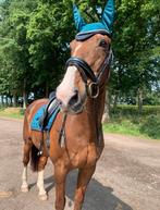 Eqestrian stockholm setje aurora, Ophalen of Verzenden, Zo goed als nieuw