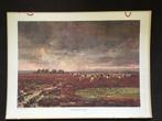 Oude schoolplaat , De Drentsche Heide - A.H. Gouwe, Antiek en Kunst, Ophalen