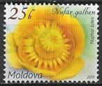 Moldavië 2019 mi.1098 flora GELE PLOMP, Verzenden, Overige landen, Gestempeld
