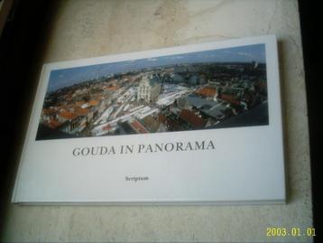 Gouda in panorama(ISBN 9071542407, Theo de Jong). beschikbaar voor biedingen