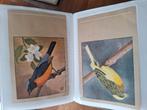 P. Sluis Birdfood Vogelkaarten van Rein Stuurman, Ophalen of Verzenden