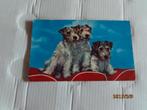 oude ansichtkaart met hond, Ophalen of Verzenden, 1940 tot 1960, Gelopen, Hond of Kat