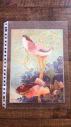 Oude litho, Antiek en Kunst, Kunst | Litho's en Zeefdrukken, Ophalen of Verzenden