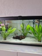 Aquarium, Dieren en Toebehoren, Vissen | Aquaria en Toebehoren, Ophalen of Verzenden, Filter of Co2