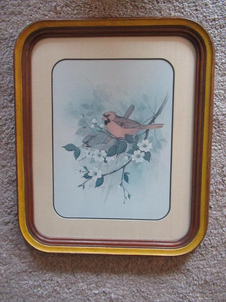 ZANGVOGELS op een bloesemtak ingelijst 45x64 cm mooie lijst, Antiek en Kunst, Kunst | Tekeningen en Foto's, Ophalen of Verzenden