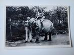 Rhenen Ouwehand's Dierenpark Olifant, Verzamelen, Ophalen of Verzenden, 1940 tot 1960, Ongelopen, Utrecht