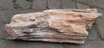 Zeer oud versteend Secuoya hout, Ophalen of Verzenden