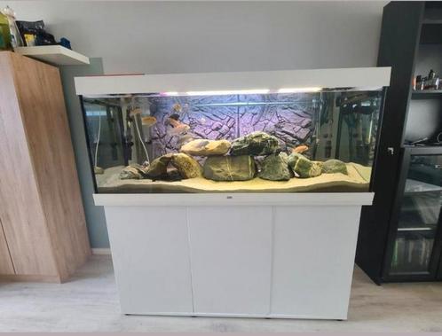 Juwel Rio 450, Dieren en Toebehoren, Vissen | Aquaria en Toebehoren, Gebruikt, Gevuld zoetwateraquarium, Ophalen