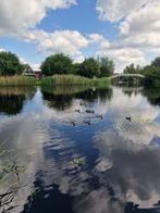 Woonruimte beschikbaar, Vrijstaande woning, Nieuwediep, 3 kamers