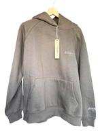 Hoodie Essentials fear of god nieuw met kaartje, Kleding | Heren, Truien en Vesten, Maat 48/50 (M), Nieuw, Ophalen of Verzenden