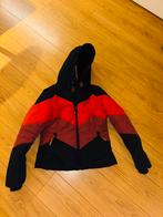 Winterjas - waterdicht en winddicht, dames, Ophalen of Verzenden, Gedragen, Maat 46/48 (XL) of groter, Jack