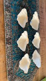 Prachtige schelpen, Ophalen of Verzenden, Nieuw, Wit, Overige materialen