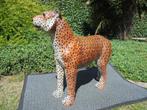 Antiek Groot Beeld van Panter Luipaard Wild Dier Zoo Jungle, Ophalen of Verzenden