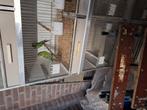 Te koop 3  jonge koppels Swift parkieten, Dieren en Toebehoren, Vogels | Overige Vogels, Meerdere dieren