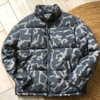 Colorful Rebel winterjack L, Maat 52/54 (L), Colorful Rebel, Ophalen of Verzenden, Zo goed als nieuw