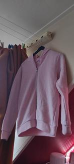 Mooi Roze Vest met rits maat 146/152, Ophalen of Verzenden, Zo goed als nieuw