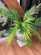 Plant, kunststof, zware bak, Ophalen of Verzenden