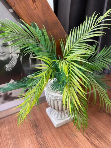 Plant, kunststof, zware bak beschikbaar voor biedingen