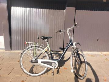 Gazelle Orange  beschikbaar voor biedingen
