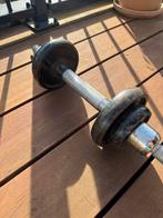 Halter met 10 kg gewicht, Ophalen of Verzenden, Gebruikt, Armen, Dumbbell