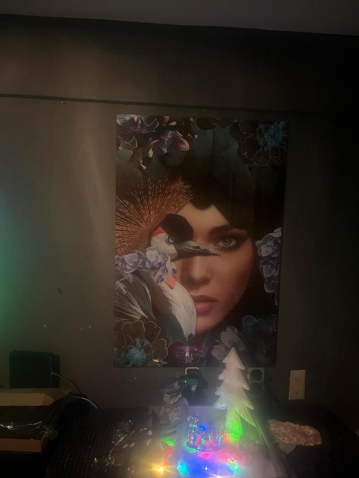 Glasplaat met afbeelding van vrouw en vogel, Antiek en Kunst, Kunst | Tekeningen en Foto's, Ophalen of Verzenden