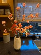 2 Zijden bloesem & 1 orchideeën takken met droogbloemen, Ophalen of Verzenden, Bloeit niet, Volle zon