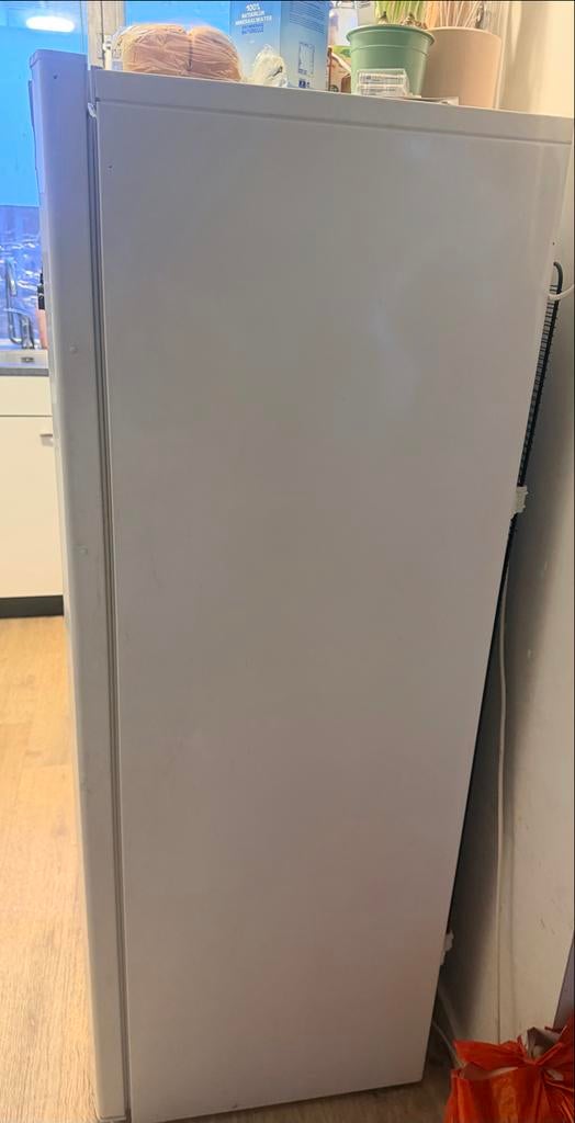 Koelkast zonder vriesvak - 1 jaar oud, Ophalen, 150 tot 200 liter, 60 cm of meer, 160 cm of meer