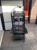 Vogelkooi, Dieren en Toebehoren, Ophalen, Gebruikt, Metaal, Vogelkooi