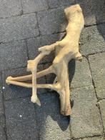 Mooie java/koffieboom, Dieren en Toebehoren, Vogels | Hokken en Kooien, Ophalen of Verzenden, Zo goed als nieuw, Hout, Vogelkooi