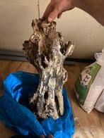 Aquarium hout, Dieren en Toebehoren, Ophalen of Verzenden, Gebruikt, Plant(en), Steen of Hout