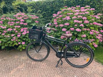 Popal Daily Dutch Herenfiets beschikbaar voor biedingen