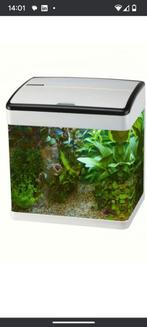 Klein super fish aquarium met of zonder vissen, Ophalen, Gevuld zoetwateraquarium