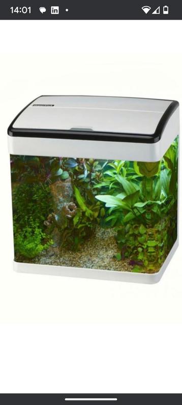 Klein super fish aquarium met of zonder vissen beschikbaar voor biedingen
