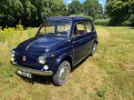Fiat 500 giardiniera  1965  Blauw, Auto's, Oldtimers, Achterwielaandrijving, 15 pk, Handgeschakeld, Kunstmatig leder