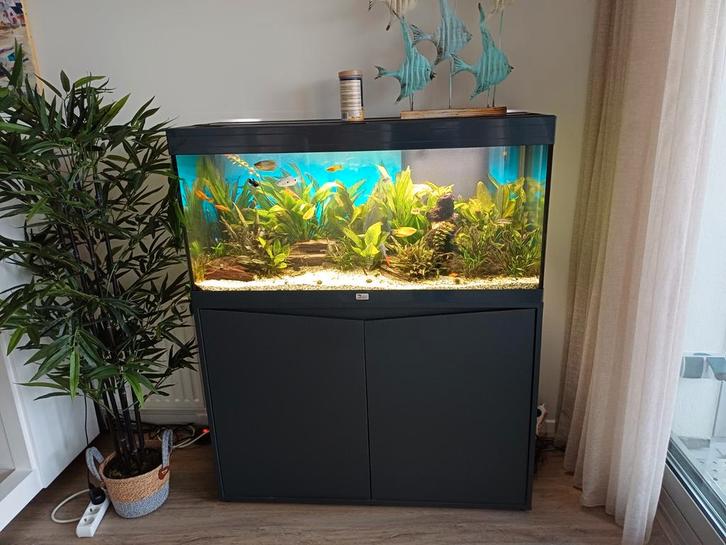 Prachtige juwel aquarium. 1.00 x 40x40, Dieren en Toebehoren, Vissen | Aquaria en Toebehoren, Zo goed als nieuw, Leeg aquarium