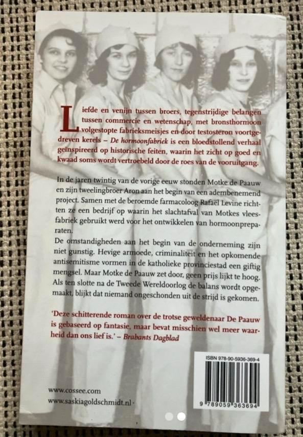 De Hormoonfabriek - Saskia Goldschmidt, Boeken, Romans, Zo goed als nieuw, Nederland, Ophalen of Verzenden