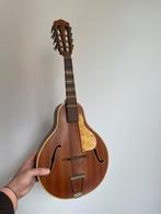 Hofner mandoline, Gebruikt, Ophalen of Verzenden