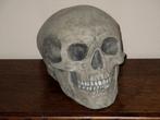handgemaakte menselijke Schedel, Skull mens Medium-A, uniek, Ophalen of Verzenden, Nieuw