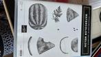Watervolor melon SU, Ophalen of Verzenden, Nieuw, Overige thema's, Pons of Mal