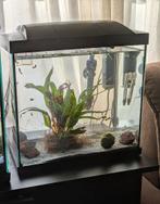 SuperFish aquarium klein., Dieren en Toebehoren, Vissen | Aquaria en Toebehoren, Ophalen, Zo goed als nieuw, Leeg aquarium