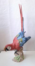 Goebel Porselein Vogel: Papagaai, Ophalen of Verzenden, Gebruikt, Dier