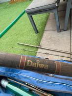 Daiwa vaste hengel 5,40 meter carbon, Watersport en Boten, Hengelsport | Witvissen, Ophalen, Gebruikt, Vaste hengel