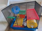 Hamsterkooi+toebehoren, Ophalen, Minder dan 75 cm, Kooi, Minder dan 60 cm