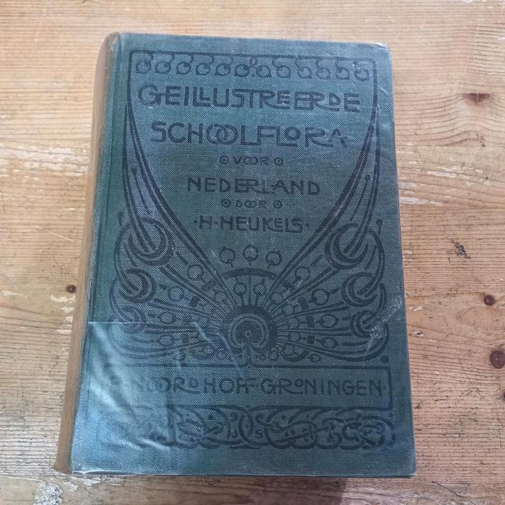 Oud botanisch boek – Geïllustreerde Schoolflora voor Nederla, Boeken, Natuur, Gelezen, Bloemen, Planten en Bomen, Ophalen of Verzenden