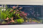 Aquatlantis Fusion 180 liter aquarium met witte onderkast, Dieren en Toebehoren, Vissen | Aquaria en Toebehoren, Ophalen, Gebruikt
