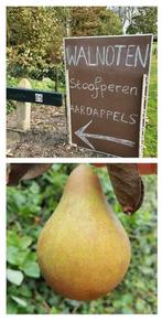 Mooie verse walnoten etc., Diversen, Ophalen