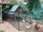 Complete kippenren 4 kippen, Dieren en Toebehoren, Pluimvee | Toebehoren, Ophalen, Zo goed als nieuw, Kippenhok of Kippenren