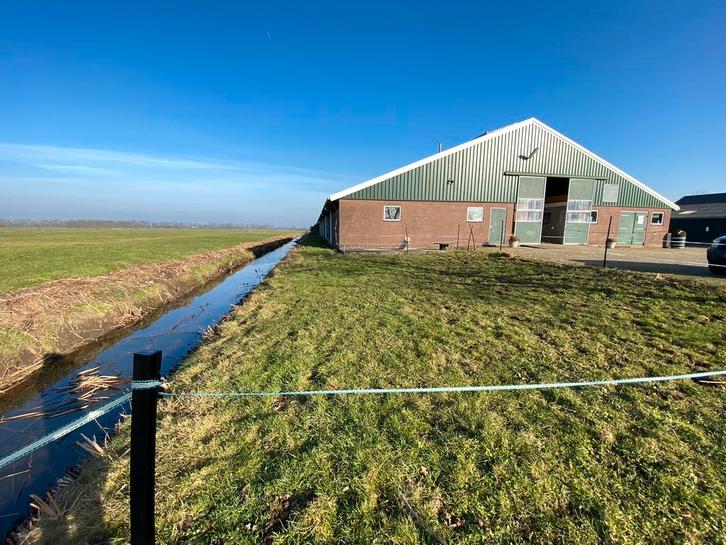 Shetlander stalling aangeboden, Dieren en Toebehoren, Stalling en Weidegang, Stalling