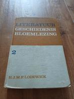 Literatuur Geschiedenis Bloemlezing - H.J.M.F Lodewick, Ophalen of Verzenden, Gelezen, H.J.M.F Lodewick, Nederland