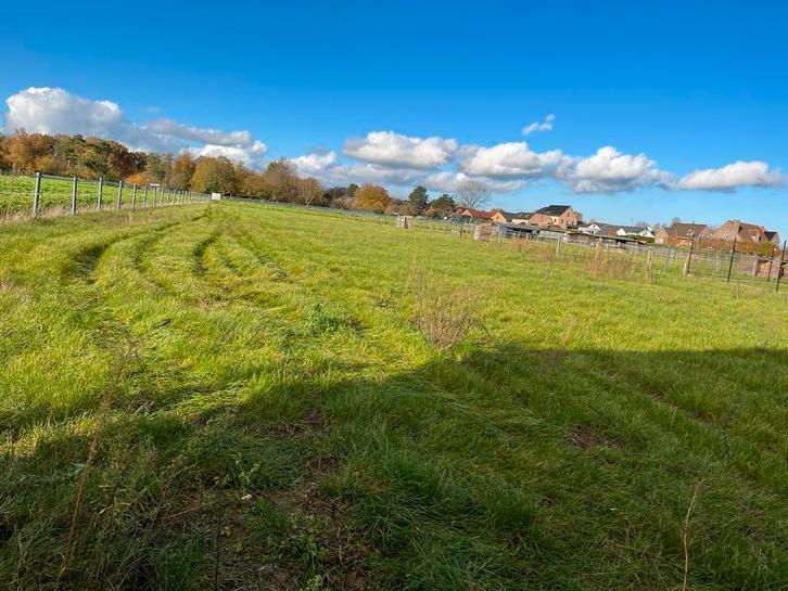 Plek vrij op de weide, Dieren en Toebehoren, Stalling en Weidegang